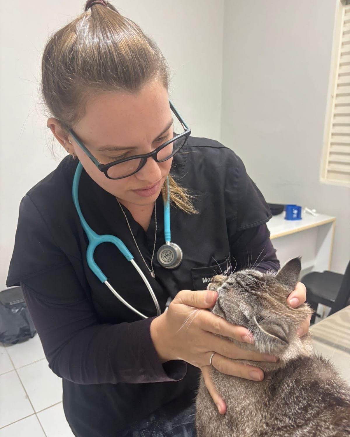 Dra. Mariana Hoffmann, de jaleco preto e estetoscópio azul, examinando a cabeça de um gato cinza na mesa de consulta