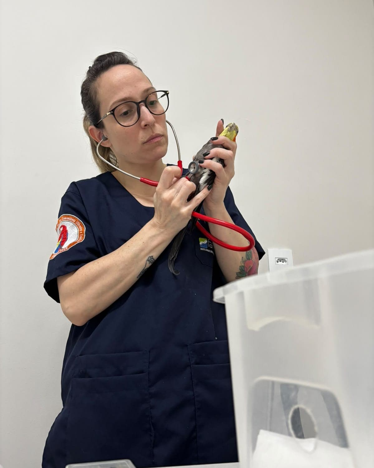 Dra. Mariana Bizzo auscultando uma calopsita com o estetoscópio, segurando a ave com as duas mãos